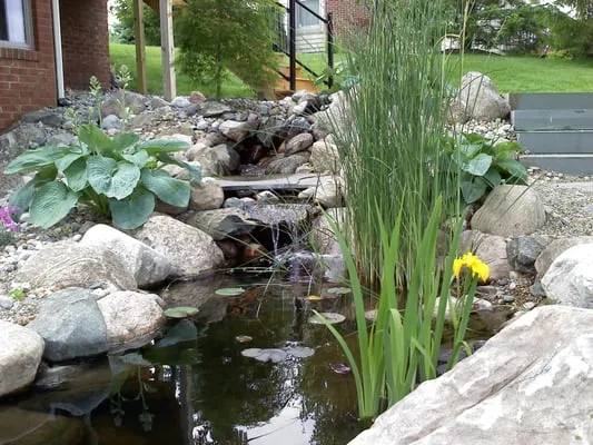 Soilvation Landscaping