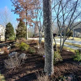Expert landscaping services in Asheville, NC by Sokol Landscaping