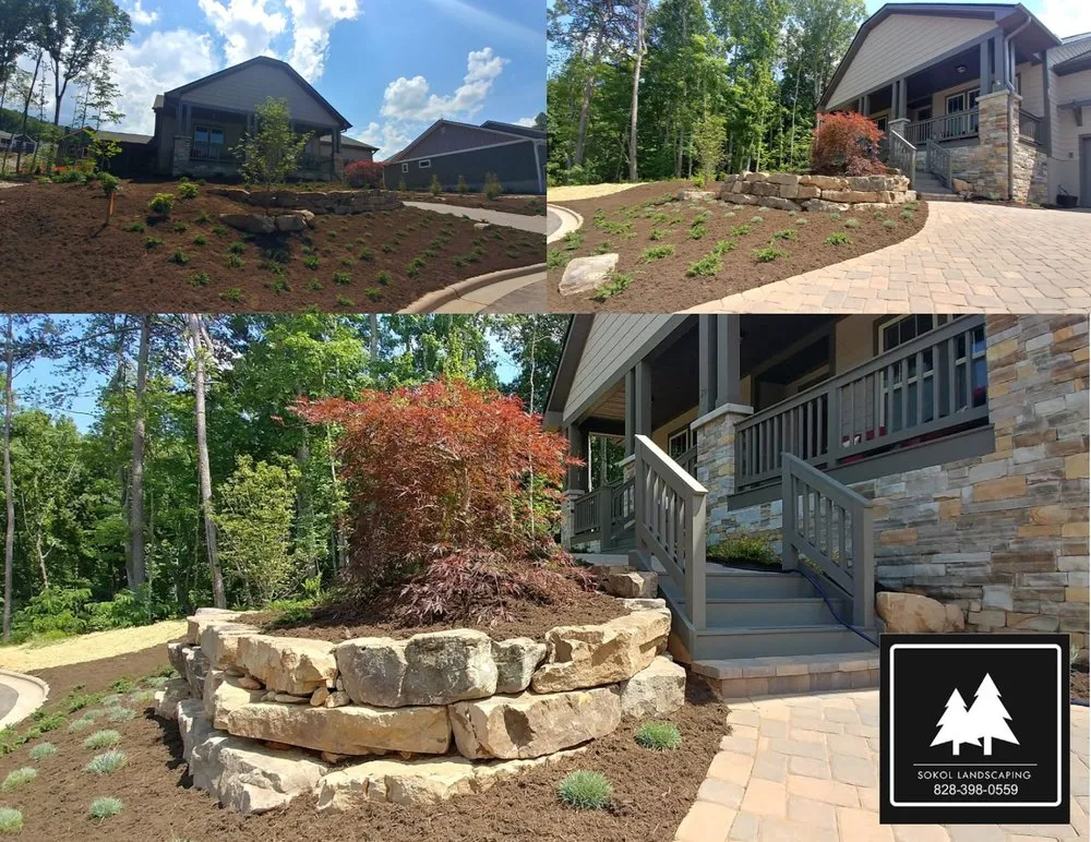 Professional yard cleanup service in Asheville, NC - Sokol Landscaping
