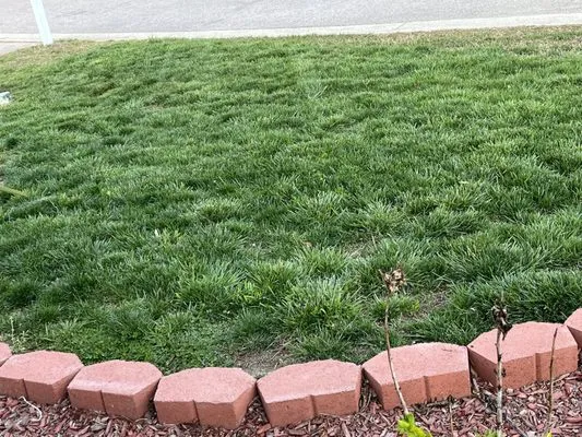 Sol & Terra Landscaping Logo