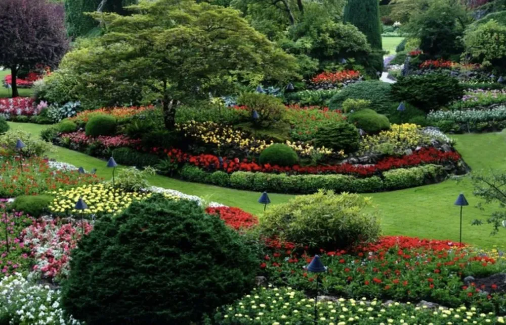 Trusted residential landscaping for residential properties in Phoenix, AZ by Sol Desert Landscaping