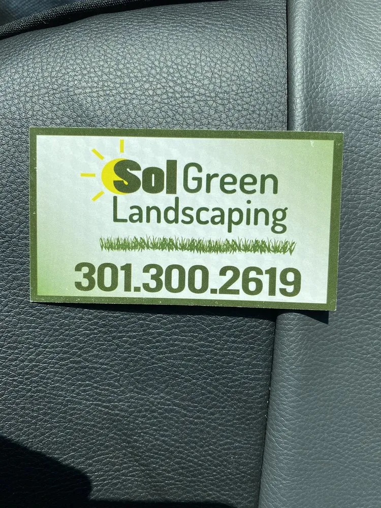 Custom yard cleanup service for year-round maintenance across Laurel, MD - Sol Green Landscaping