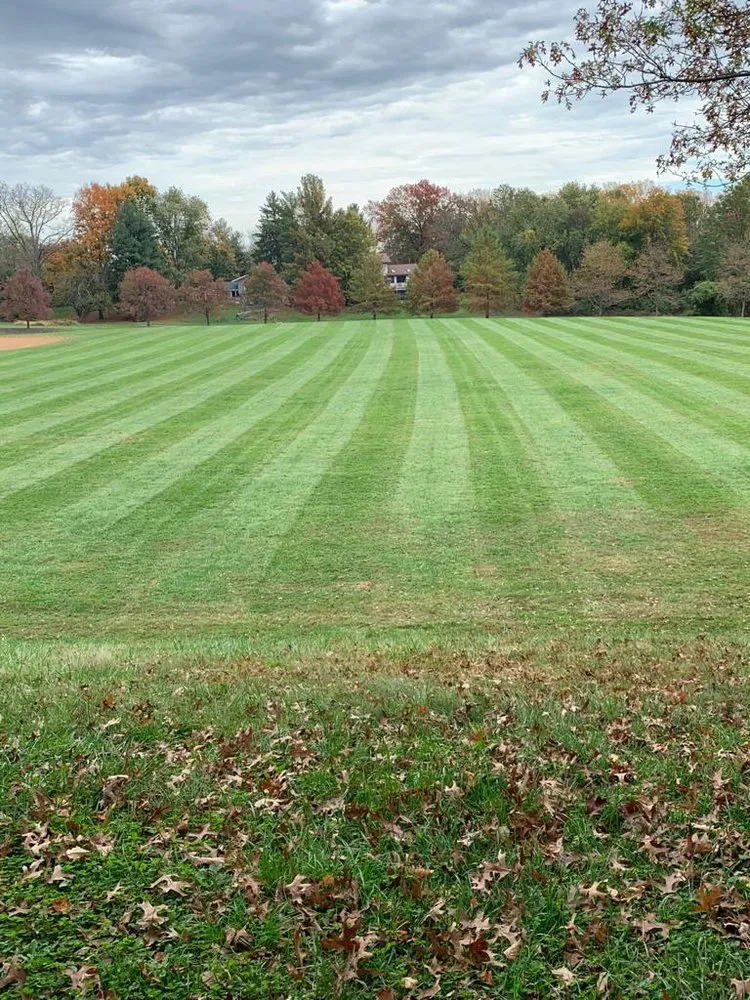 Custom landscaping services with custom design across Laurel, MD - Sol Green Landscaping