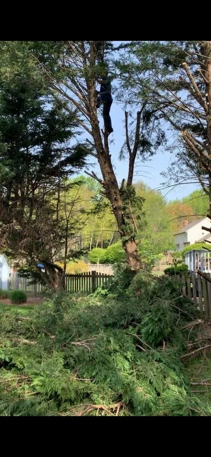 Expert landscape installation in Laurel, MD by Sol Green Landscaping