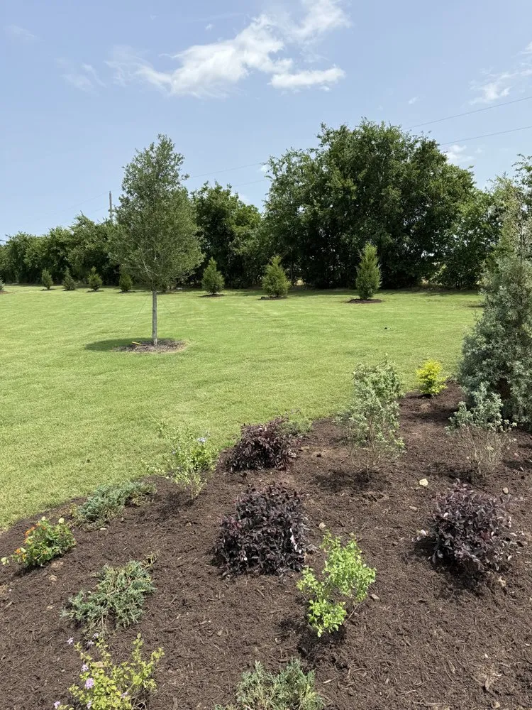 Expert yard cleanup service near you across Dallas, TX - Sol Landscape & Services