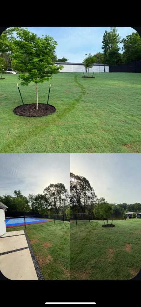 Reliable landscape design experts serving Dallas, TX - Sol Landscape & Services