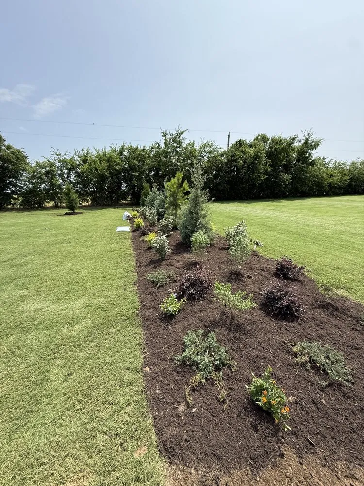 Professional lawn mowing service experts serving Dallas, TX - Sol Landscape & Services