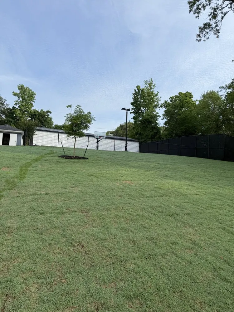 Trusted landscape design in Dallas, TX by Sol Landscape & Services