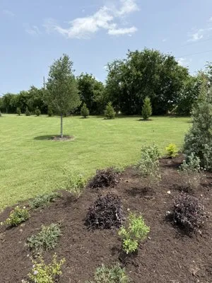 Sol Landscape & Services Logo