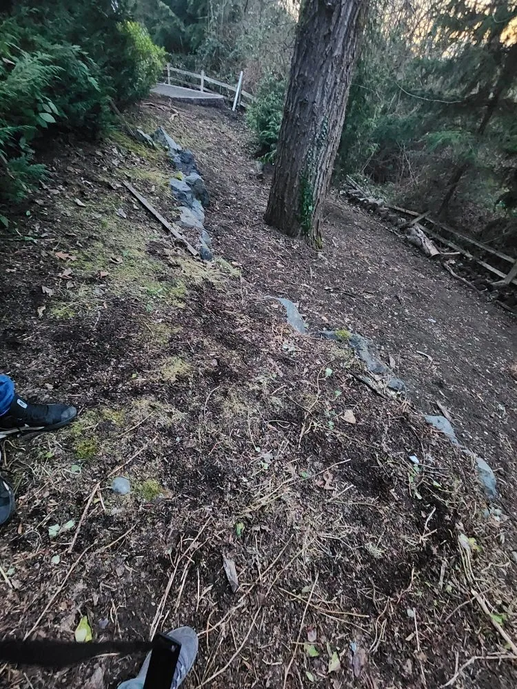 Local yard cleanup service with custom design across Auburn, WA - Sol Landscaping