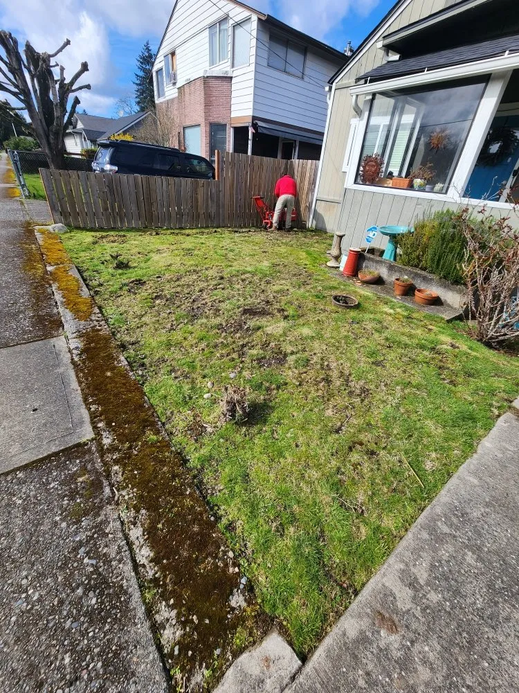 Professional yard cleanup service in Auburn, WA - Sol Landscaping