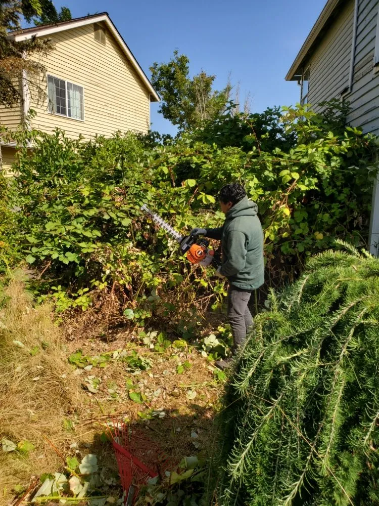 Custom yard maintenance experts serving Auburn, WA - Sol Landscaping