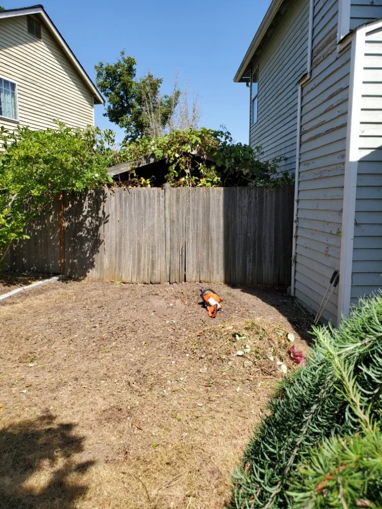 Expert residential landscaping for homes across Auburn, WA - Sol Landscaping