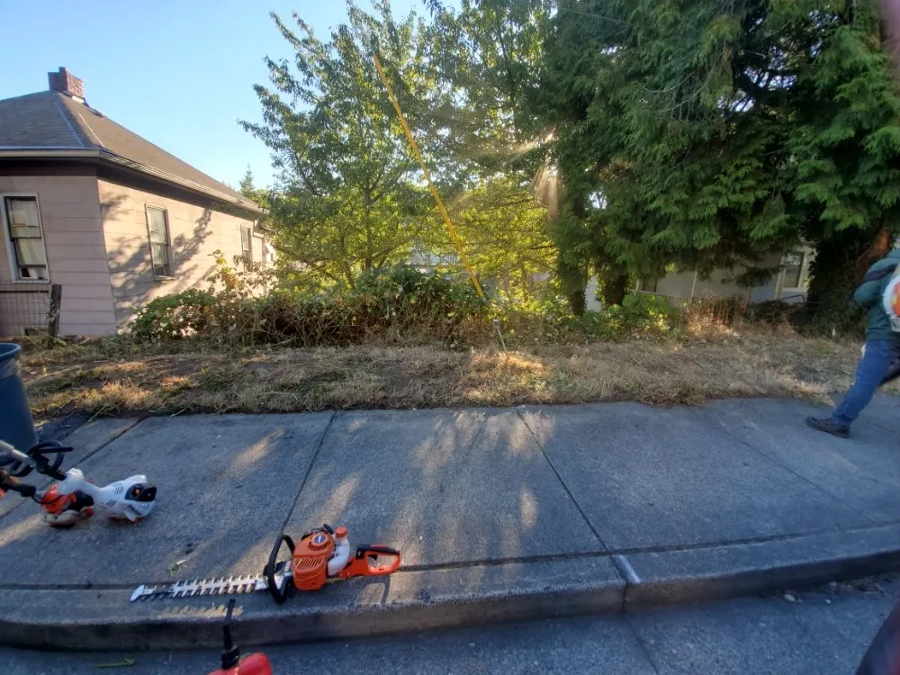 Affordable outdoor landscaping experts serving Auburn, WA - Sol Landscaping