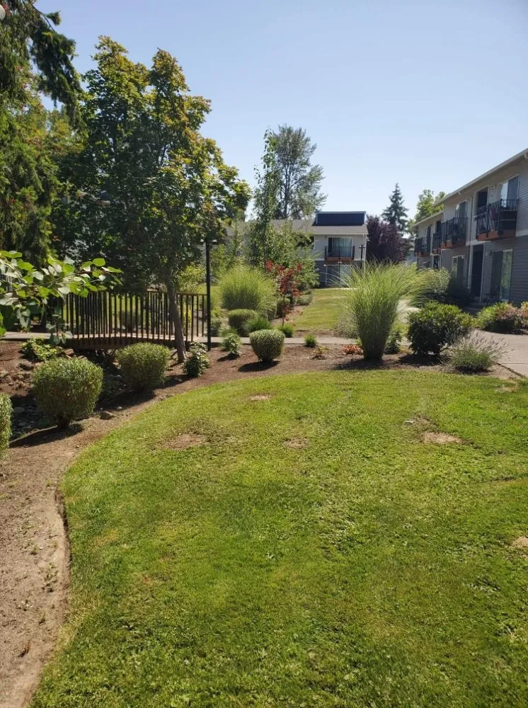 Professional residential landscaping in Auburn, WA by Sol Landscaping