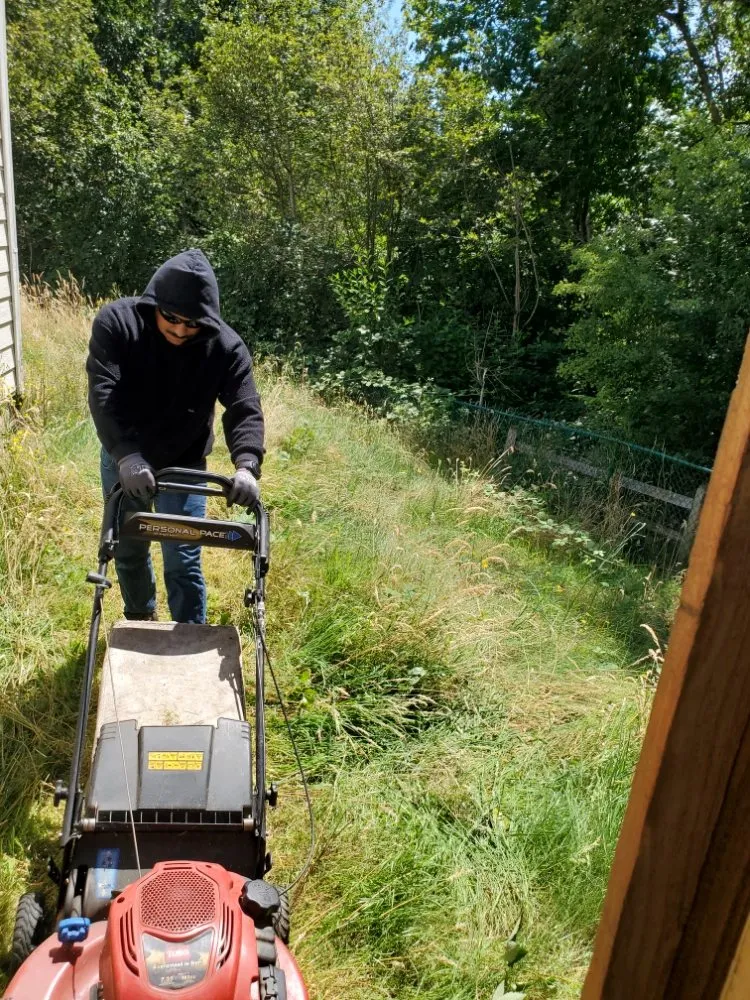 Top-rated yard cleanup service experts serving Auburn, WA - Sol Landscaping