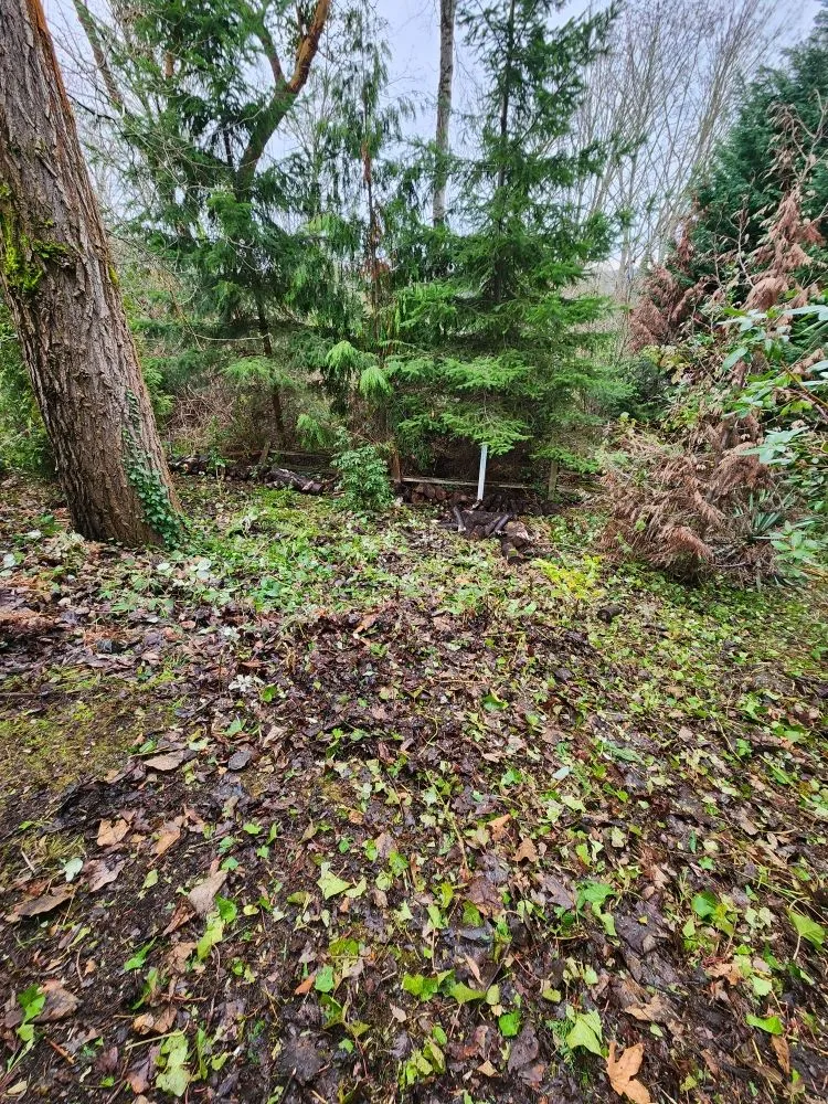 Affordable yard maintenance for homes across Auburn, WA - Sol Landscaping