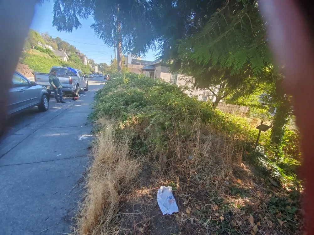 Affordable landscaping services in Auburn, WA - Sol Landscaping