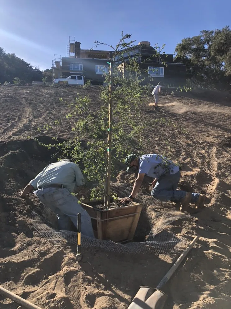 Expert garden landscaping for homes in Santa Barbara, CA by Sol Landscaping