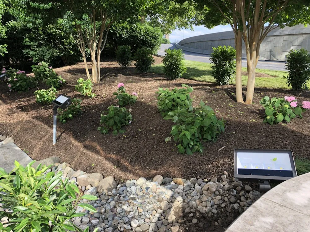 Local yard cleanup service experts serving Santa Barbara, CA - Sol Landscaping