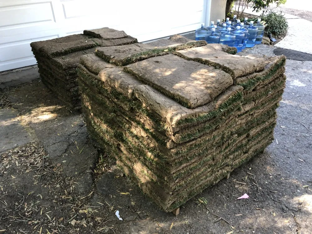 Professional residential landscaping with custom design across Santa Barbara, CA - Sol Landscaping