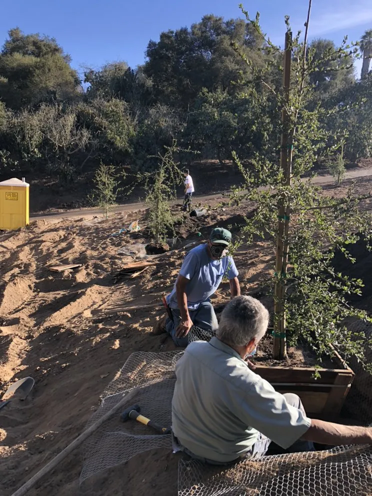 Trusted garden landscaping experts serving Santa Barbara, CA - Sol Landscaping