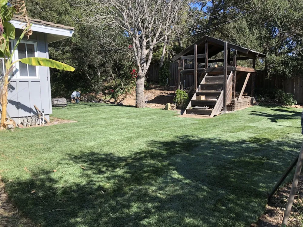 Local yard maintenance near you across Santa Barbara, CA - Sol Landscaping