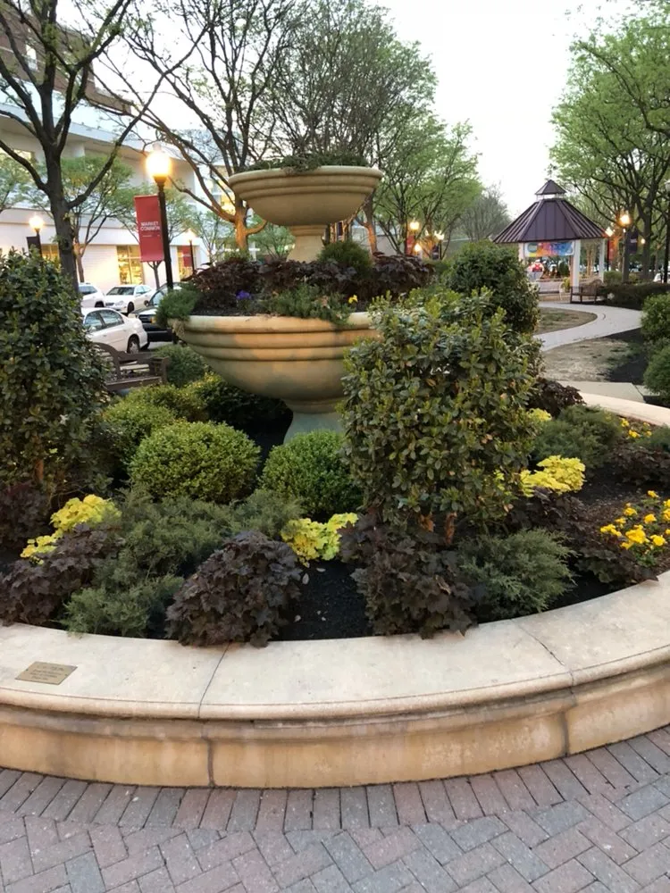 Trusted landscaping services for outdoor upgrades across Santa Barbara, CA - Sol Landscaping