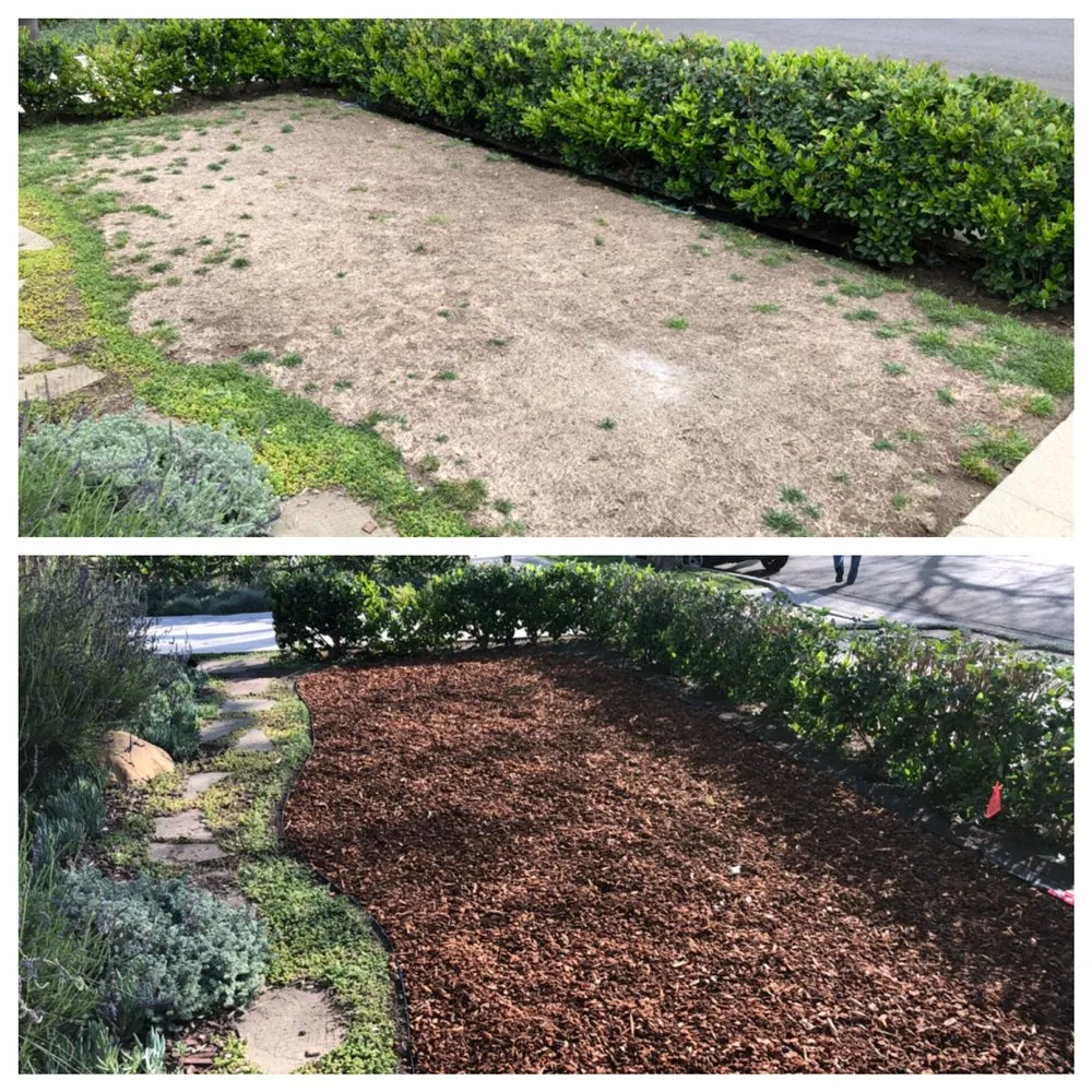 Affordable lawn care service in Santa Barbara, CA by Sol Landscaping