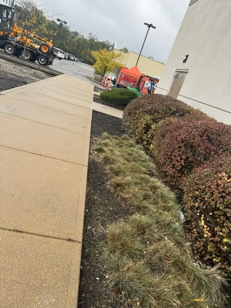 Affordable landscaping services for homes across Indianapolis, IN - Sol Landscaping Services