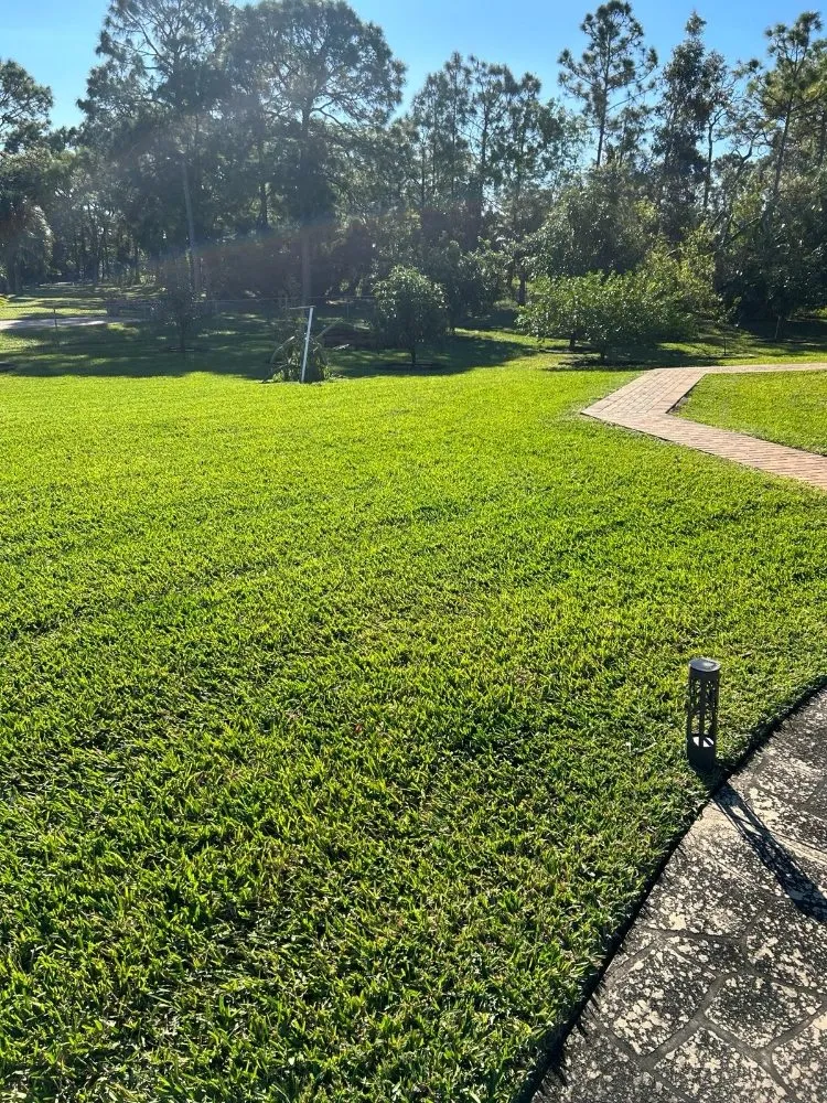 Local outdoor landscaping experts serving Loxahatchee, FL - Sol Landscaping Services