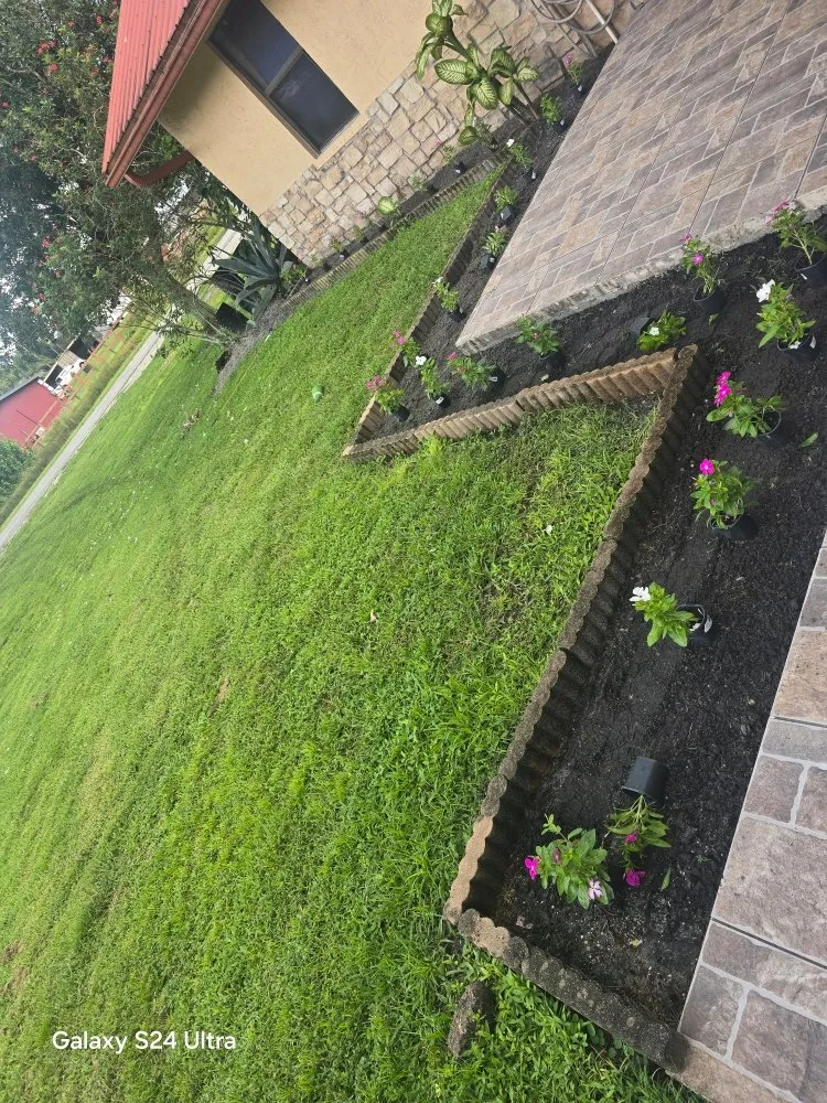 Trusted residential landscaping in Loxahatchee, FL - Sol Landscaping Services