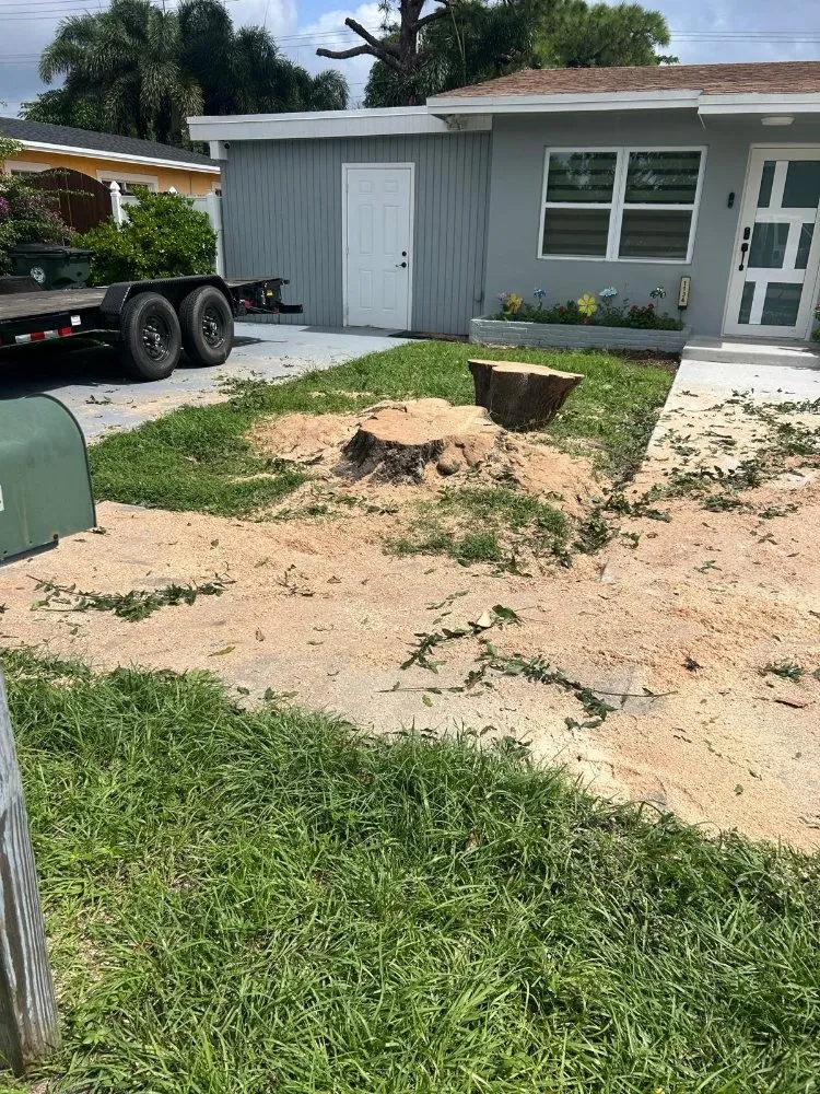 Custom landscaping services for beautiful yards across Loxahatchee, FL - Sol Landscaping Services