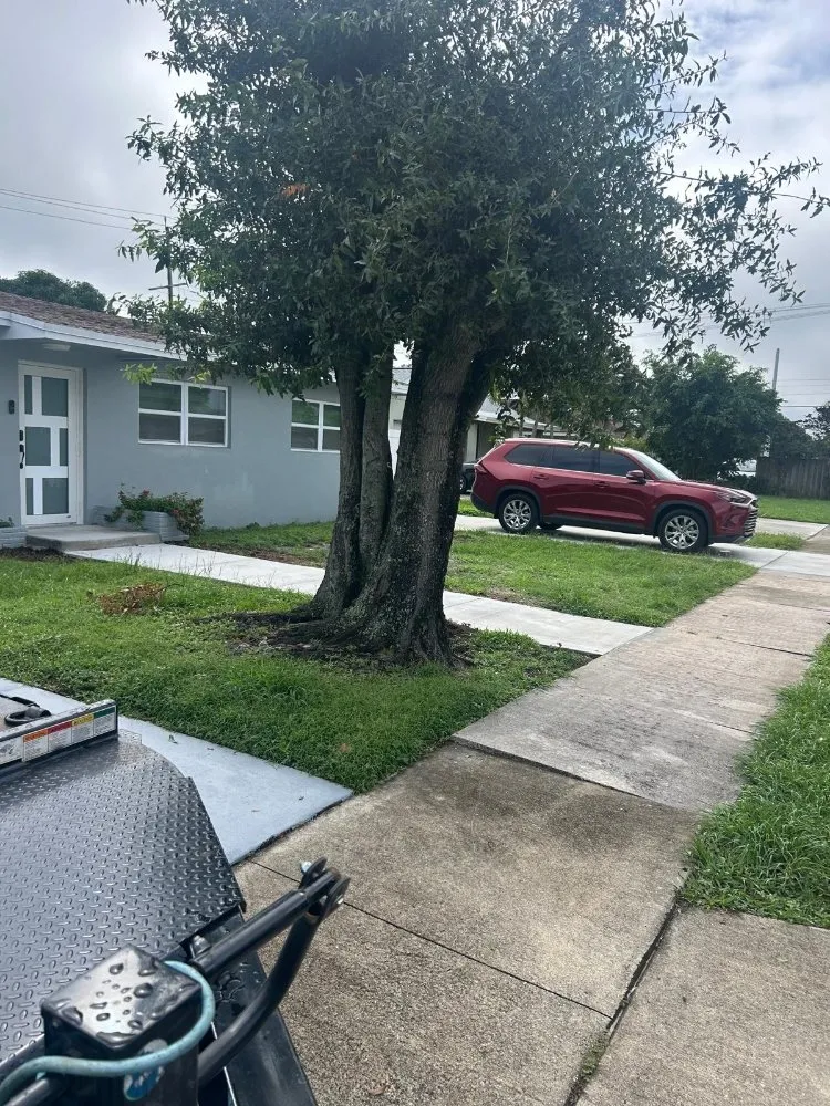 Top-rated outdoor landscaping in Loxahatchee, FL by Sol Landscaping Services