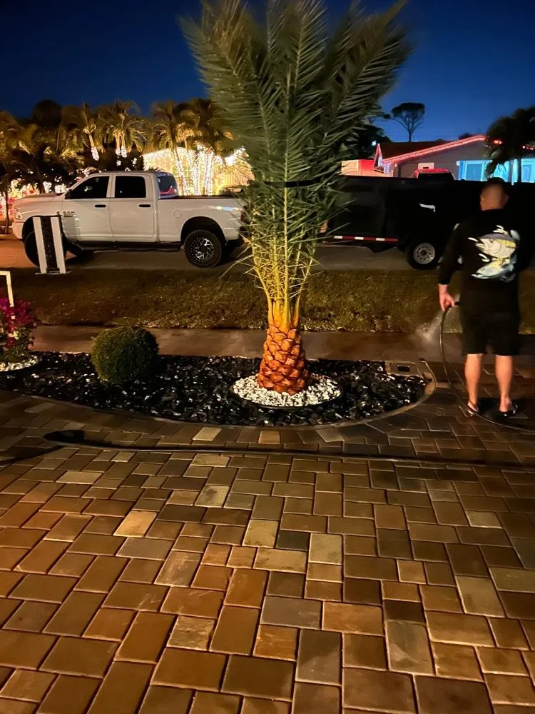 Affordable yard cleanup service experts serving Loxahatchee, FL - Sol Landscaping Services