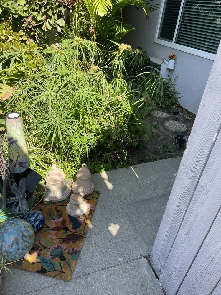 Local landscaping services in Irvine, CA - Sol Lawn Solution