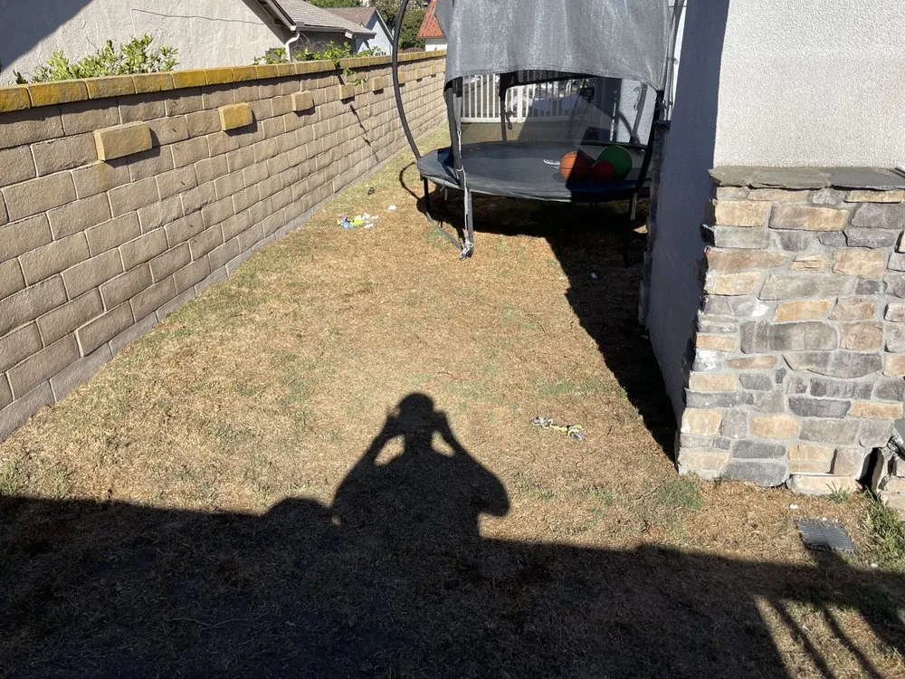 Professional lawn care service experts serving Irvine, CA - Sol Lawn Solution