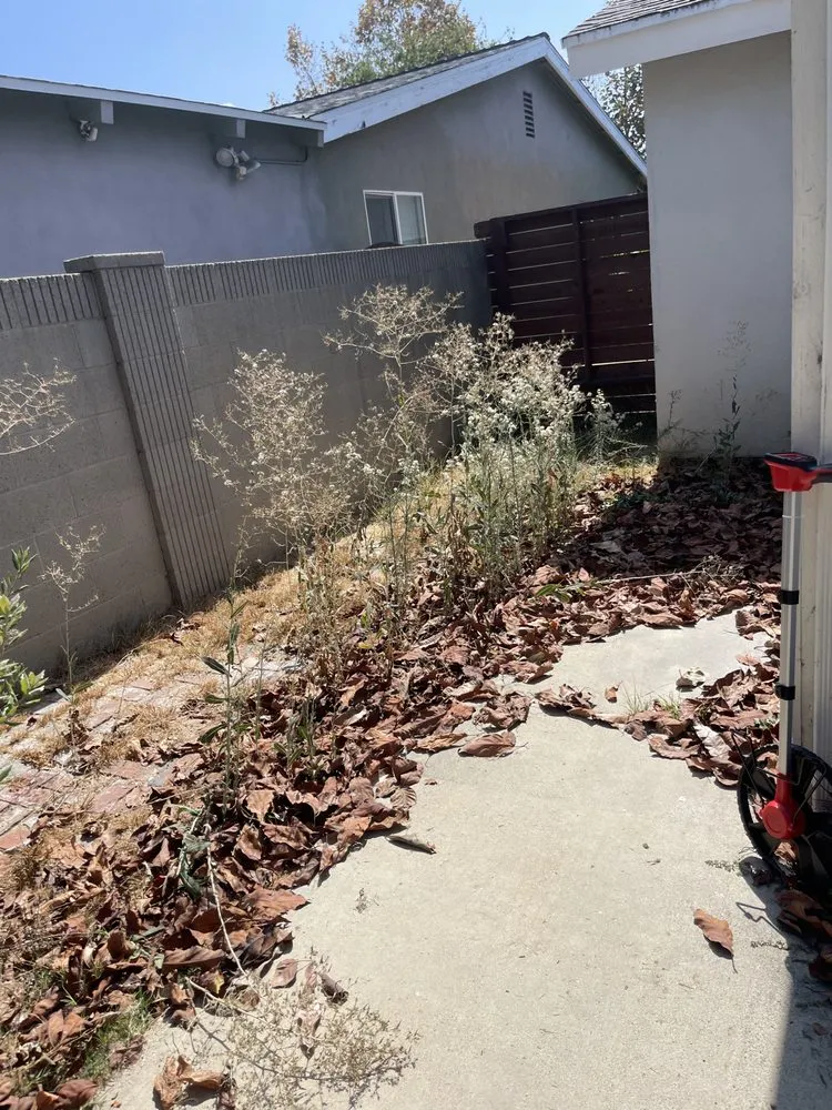 Top-rated landscaping services experts serving Irvine, CA - Sol Lawn Solution