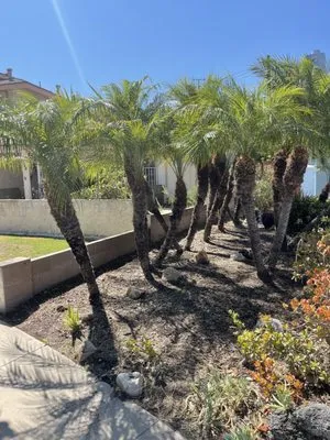 Sol Lawn Solution Logo