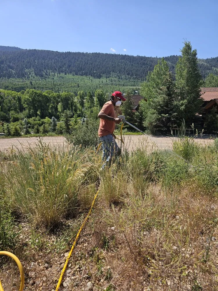 Expert yard cleanup service for homes across Heber City, UT - Sol Ram Landscaping