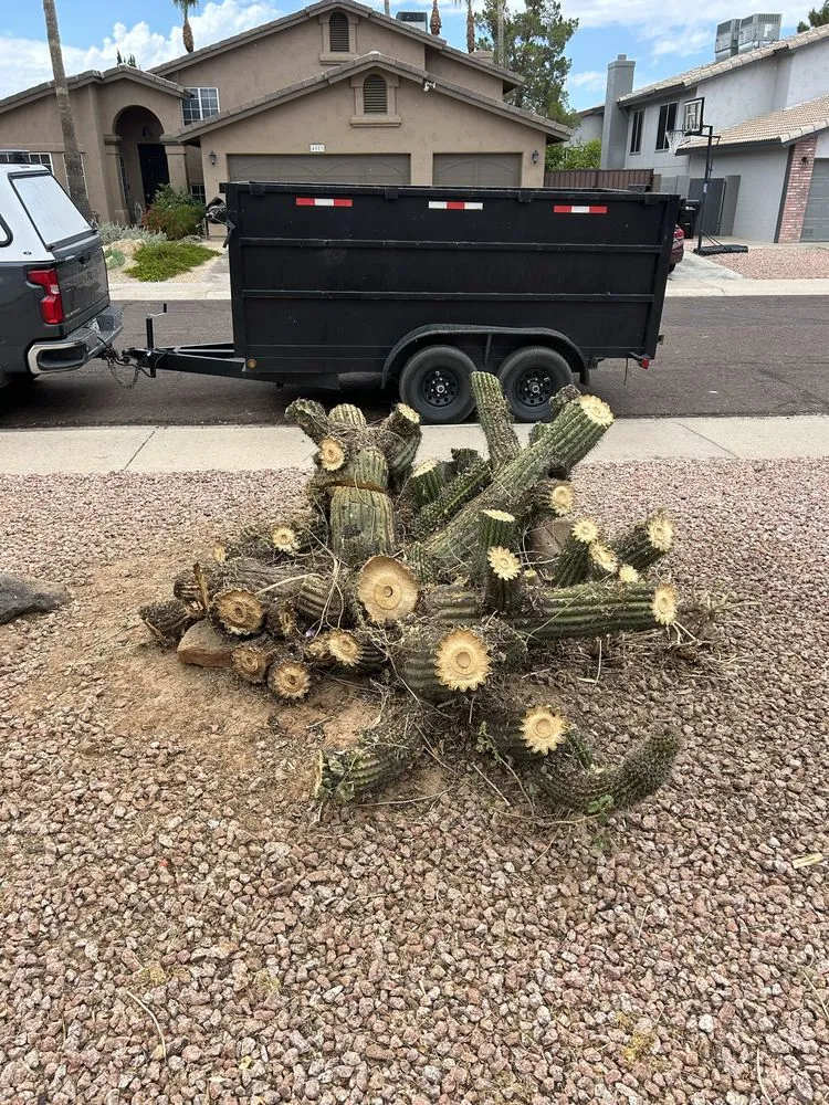 Trusted garden landscaping in Scottsdale, AZ - Sol Seekers