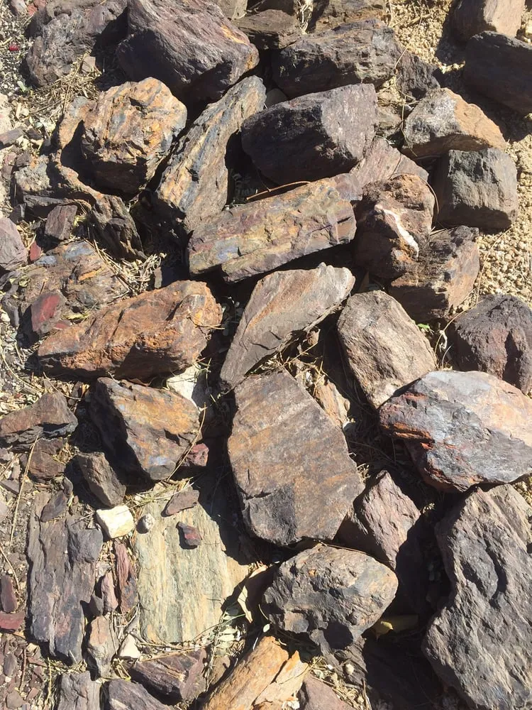 Local yard cleanup service experts serving Scottsdale, AZ - Sol Seekers