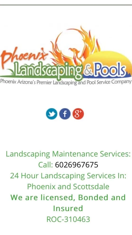Expert outdoor landscaping in Scottsdale, AZ - Sol Seekers