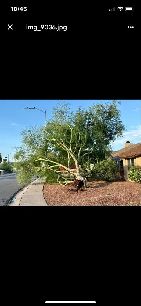 Affordable landscape design in Scottsdale, AZ by Sol Seekers