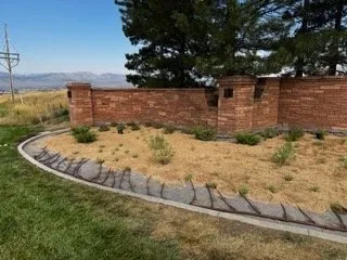 Affordable yard maintenance in Fort Collins, CO by Sol Y Tierra Landscapes
