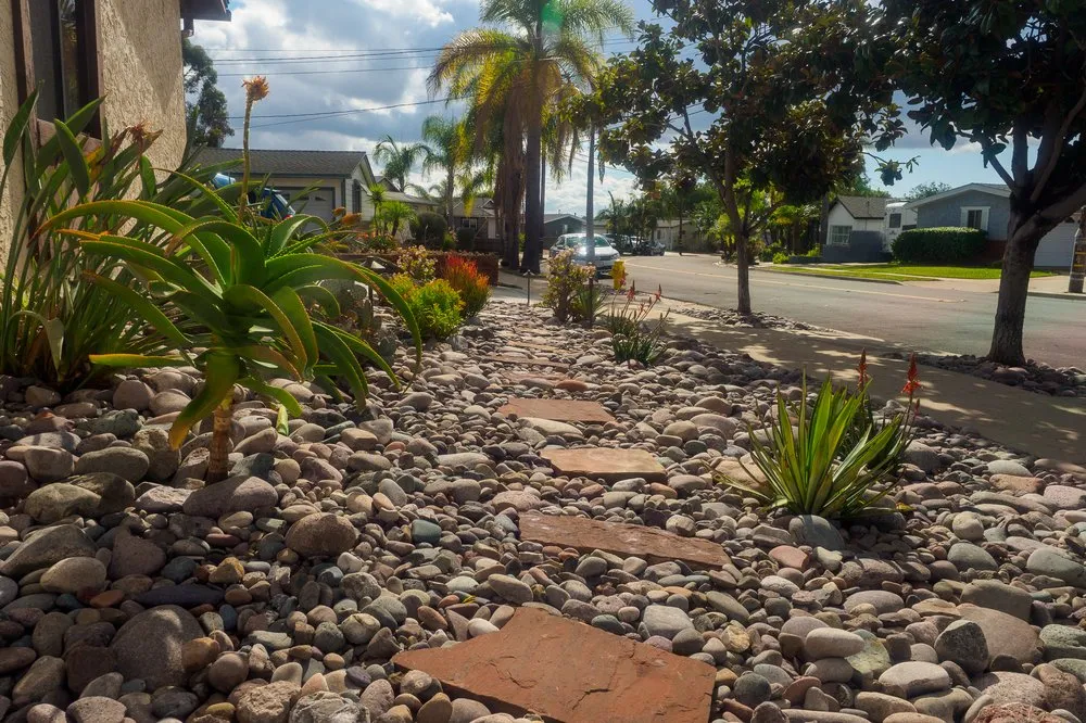 Expert yard cleanup service in Escondido, CA - Solana Landscape & construction