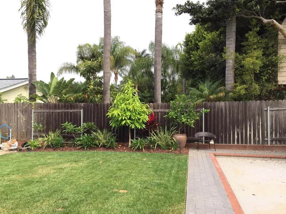 Professional lawn care service experts serving Escondido, CA - Solana Landscape & construction