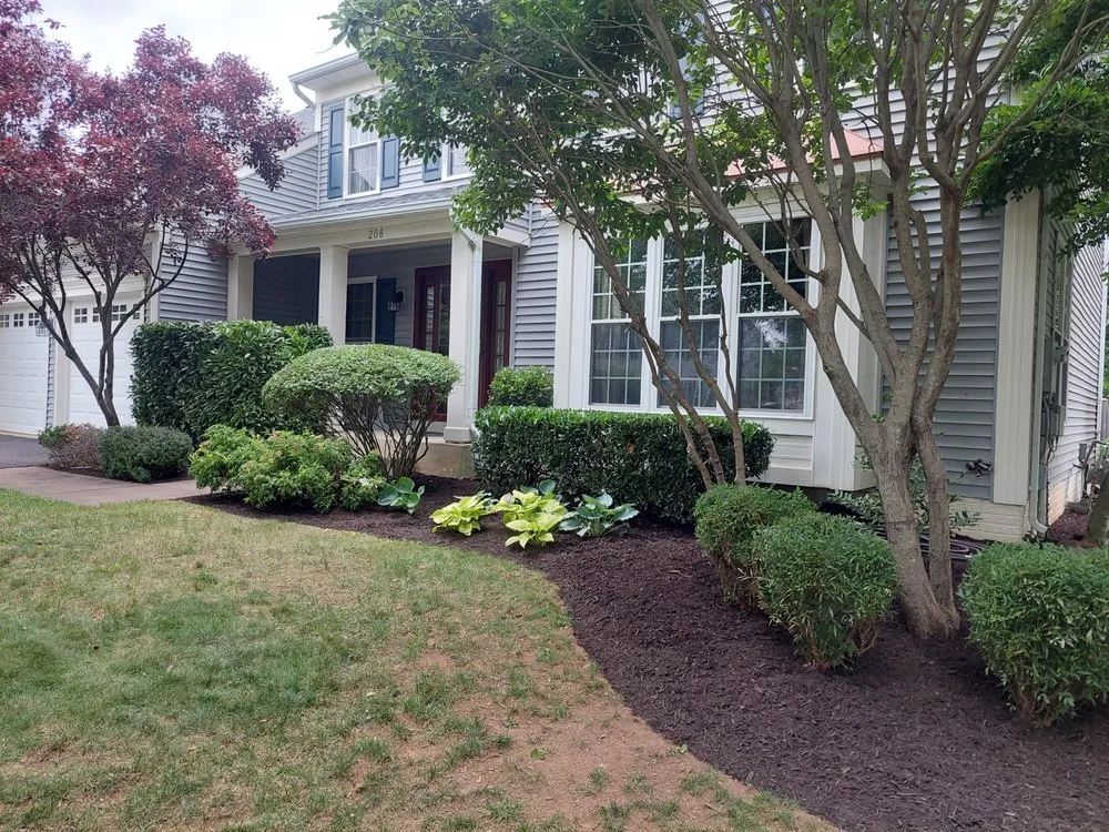 Top-rated yard cleanup service in Leesburg, VA by Solana Landscapes
