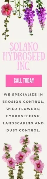 Local lawn mowing service experts serving Vacaville, CA - Solano Hydroseed