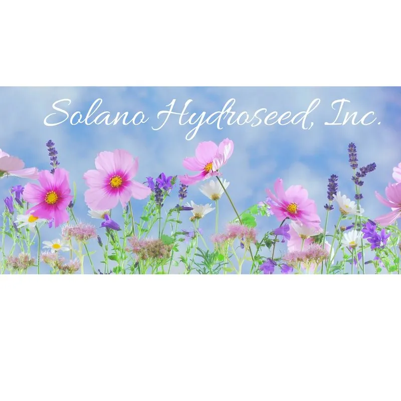 Expert lawn mowing service experts serving Vacaville, CA - Solano Hydroseed